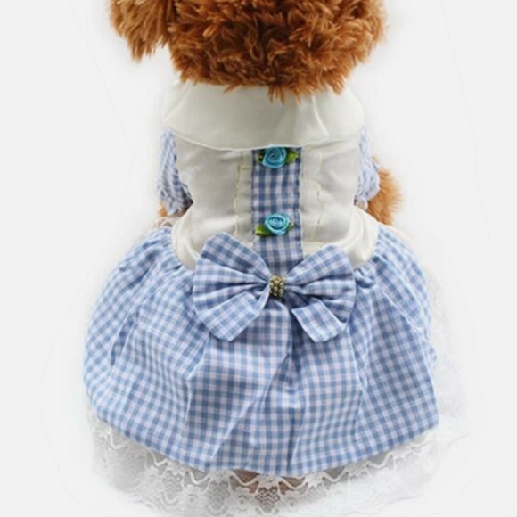 🧺 NWOT-Dorothy Wizard of Oz Dog Costume - Picture 1 of 3